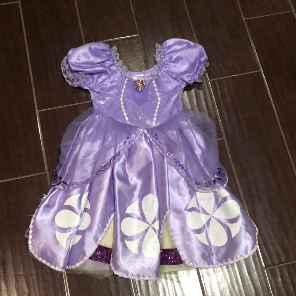 Size 2 Sofia the first Halloween Costume